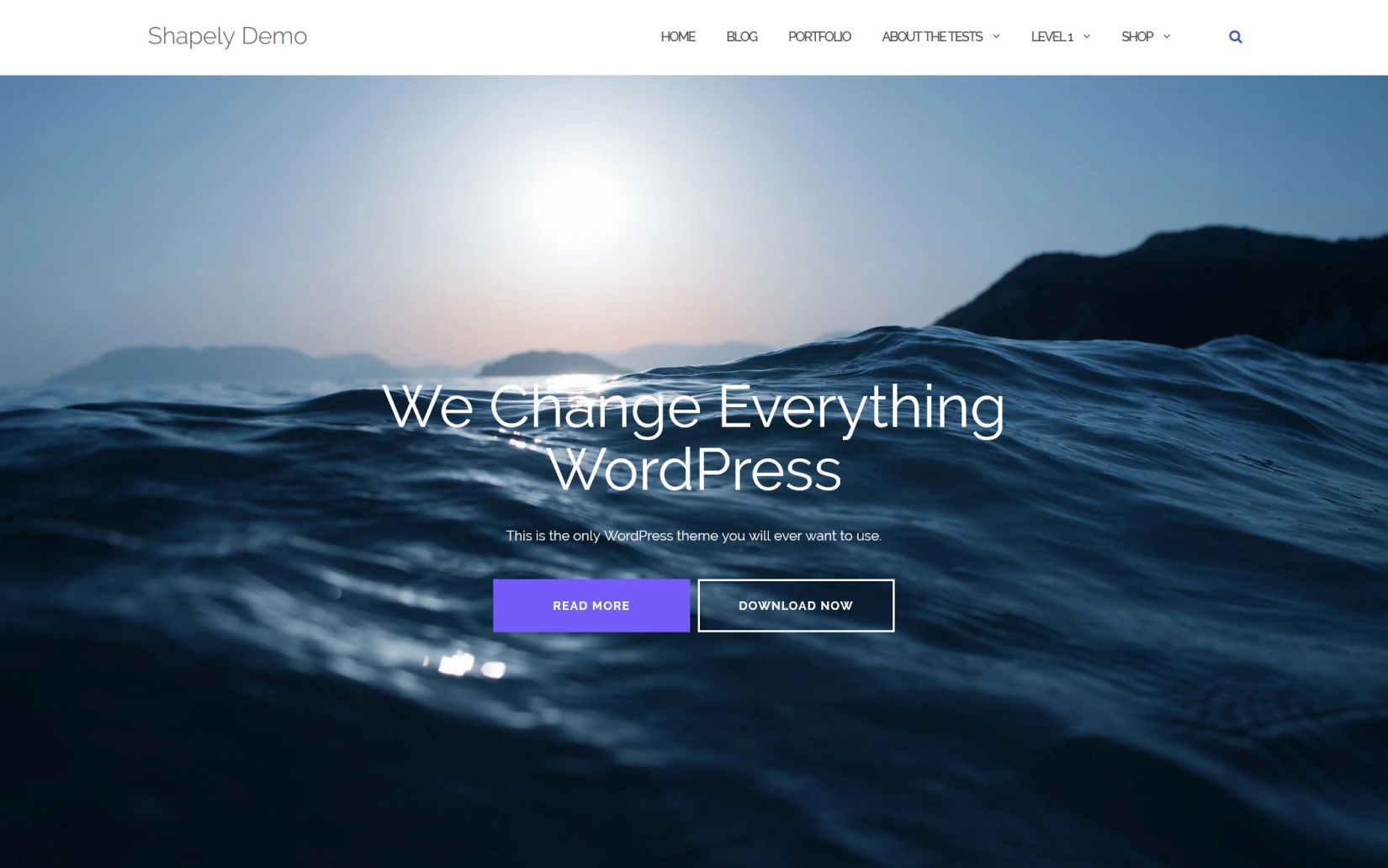 Best Free themes fort WordPress Shapely Theme
