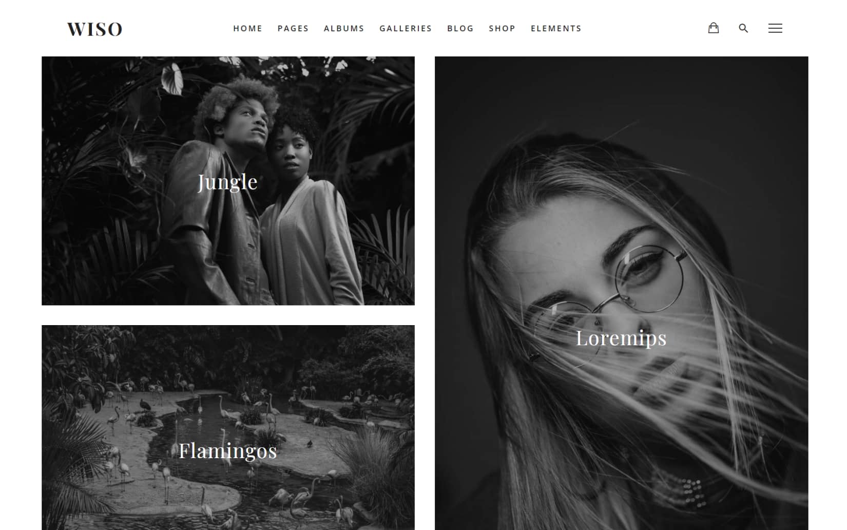 Best Minimal Photography WordPress Themes
