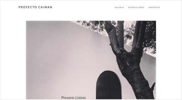 Proyecto Caiman - Art Space