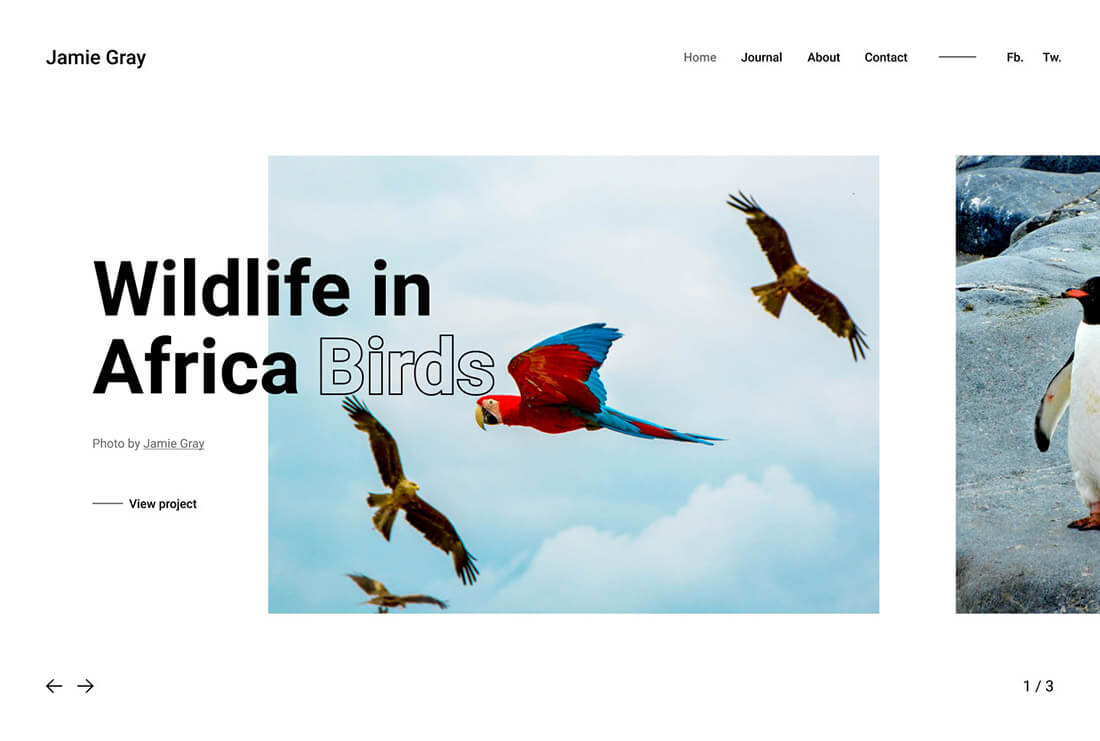 Jamie Gray - Nature Photographer