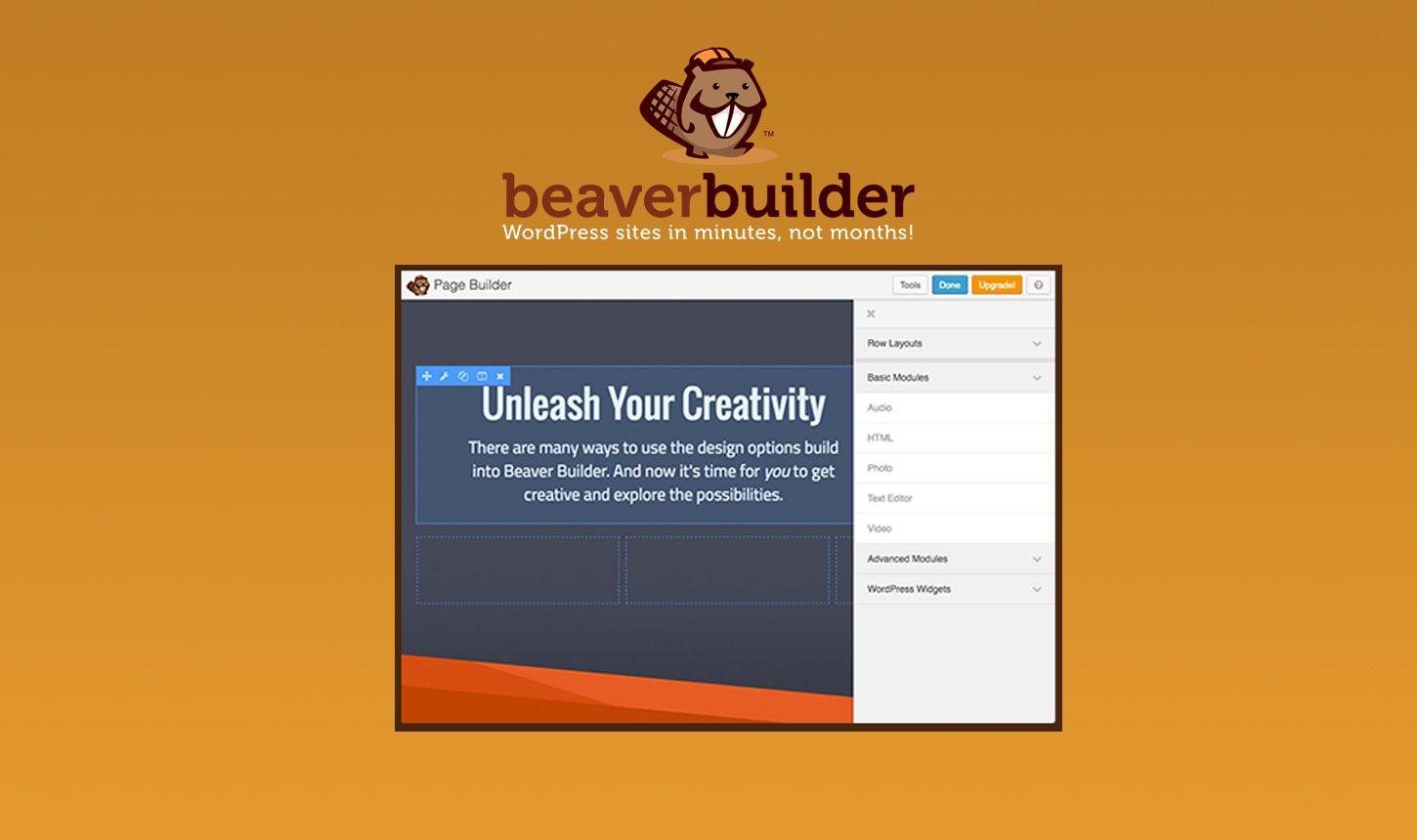Best Page Builders for WordPress in 2020 3