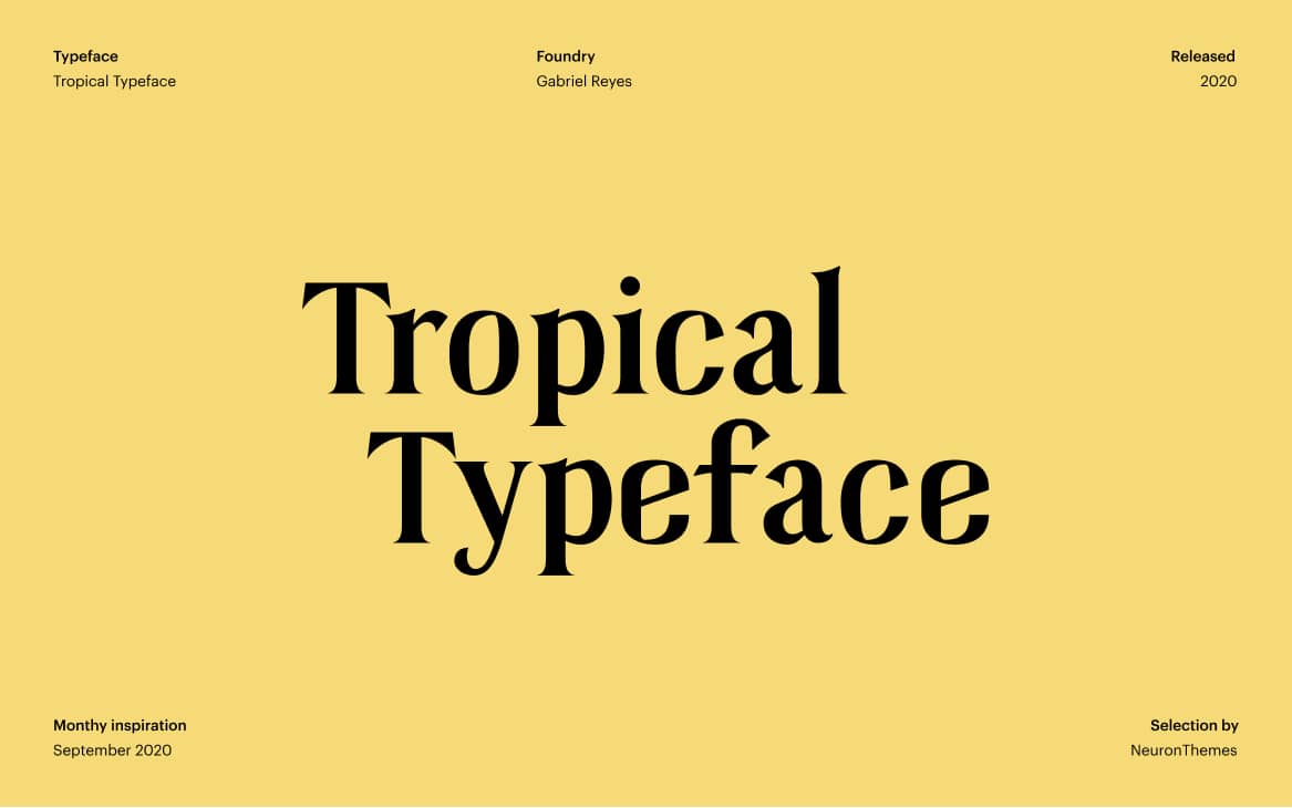 Best Free Display Fonts Tropikal Display Serif Typeface