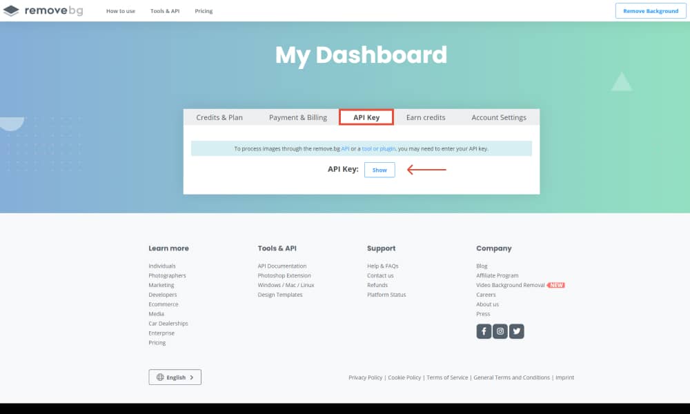 Get the API Key