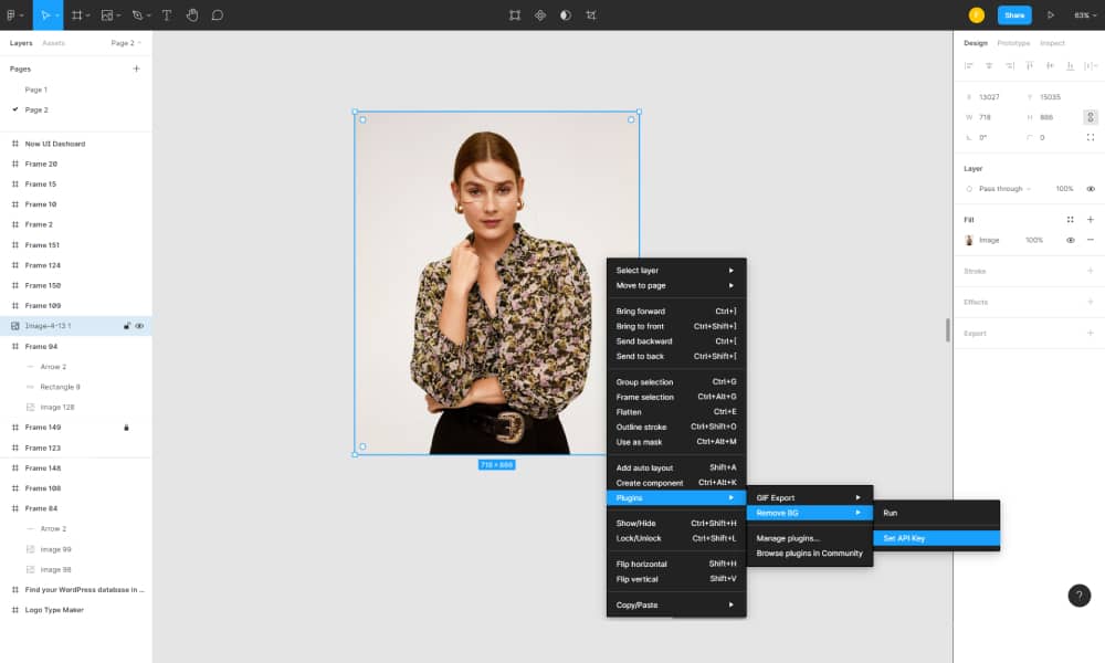 Paste the API Key in Figma 1