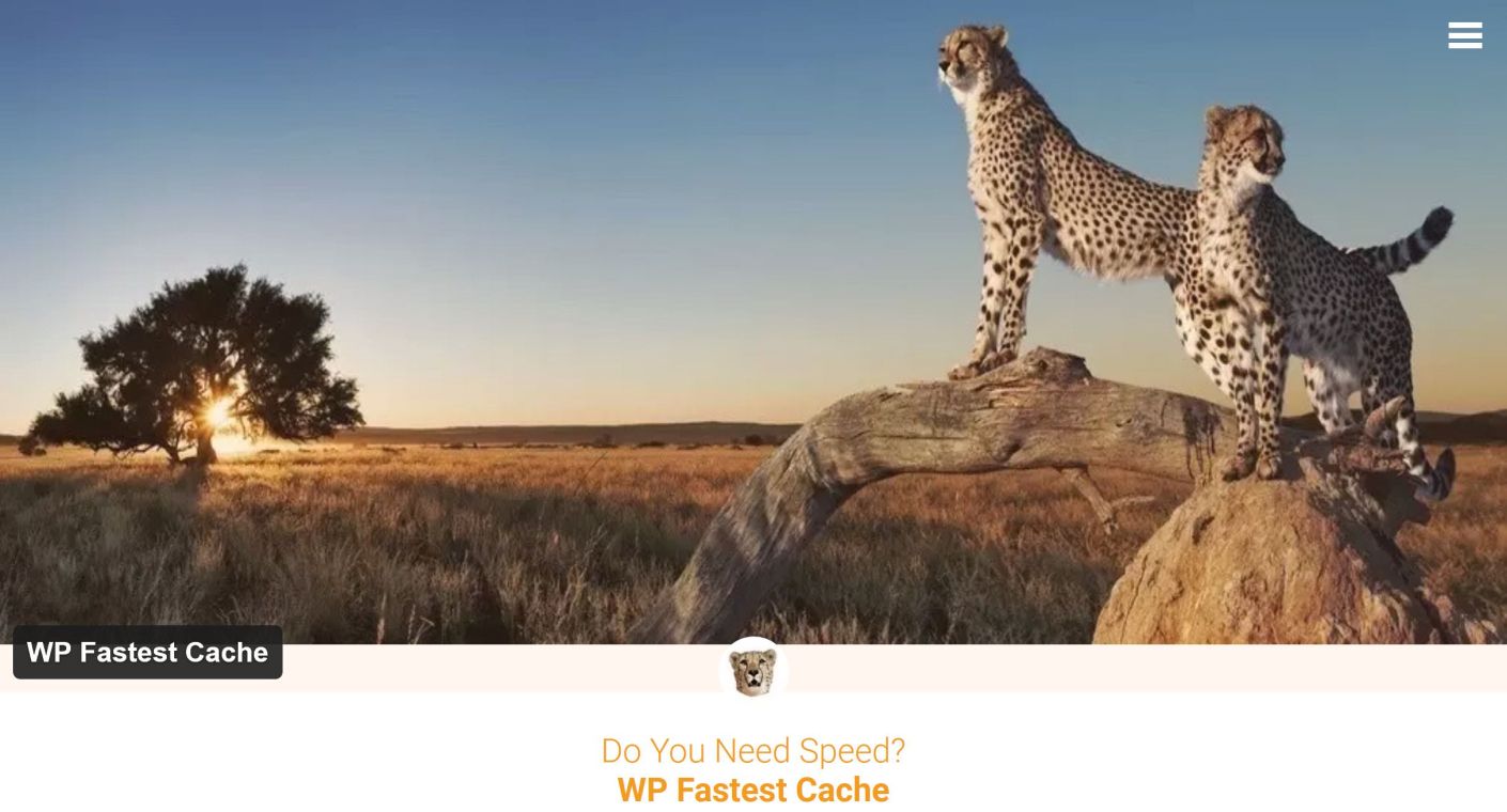 Best WordPress Caching Plugins for 2021