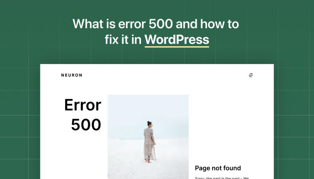 What is Error 500 and how to fix it