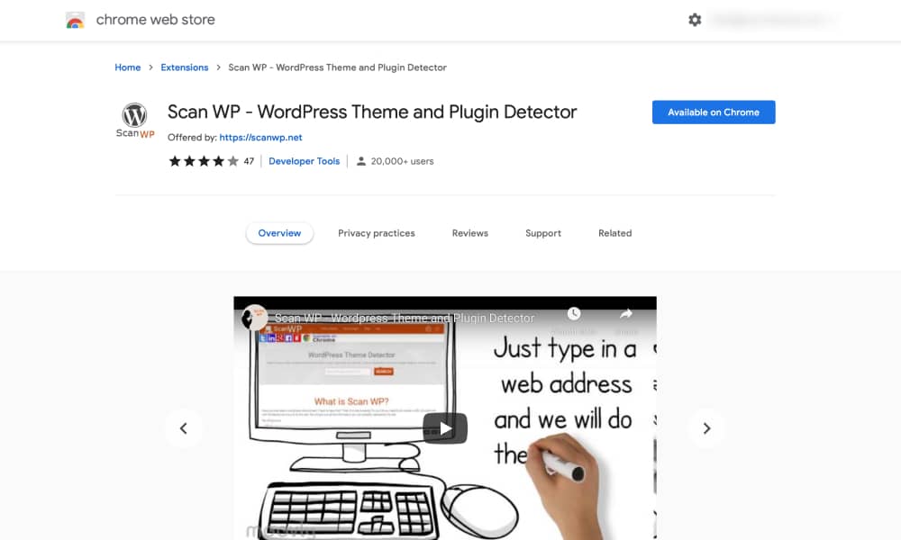 Scan WP to find what theme is a website using